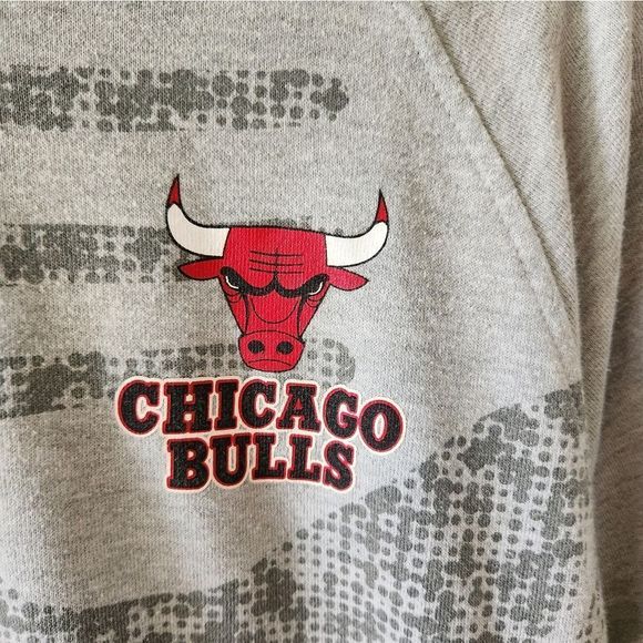 NBA UNK Chicago Bulls short sleeve hooded sweatshirt size large - Picture 2 of 6